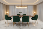 dinig table chair new design